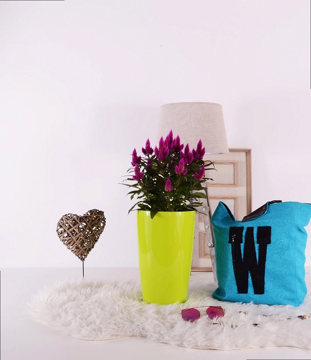 plants, flowerpots, green, grow, gardening, pot, color, colorful, cute, flower, autumn, indoor, interior, decoration, de